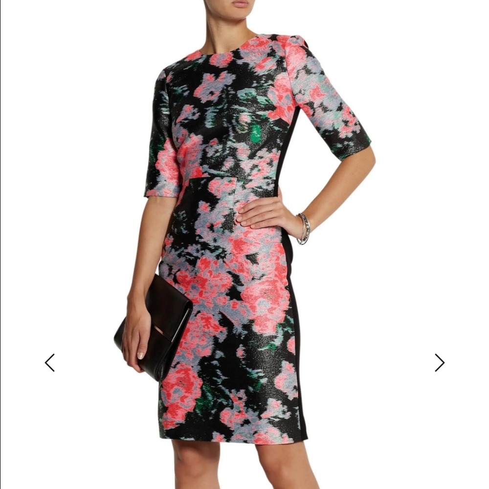 Erdem dress